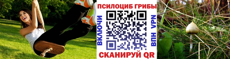 omg ссылка  Екатеринбург  Псилоцибиновые грибы Cubensis  наркота 